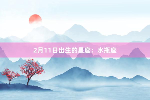 2月11日出生的星座：水瓶座